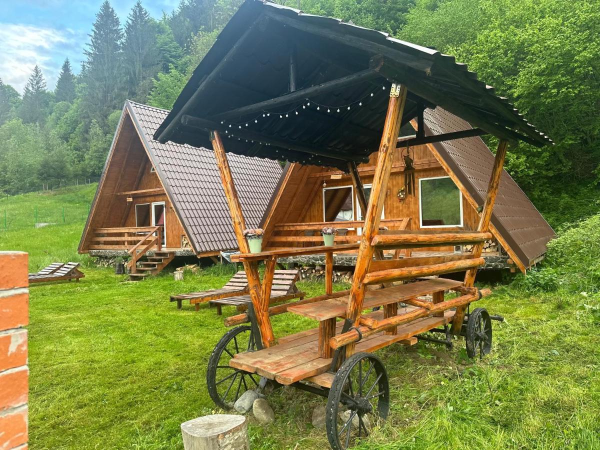 Cabanutze Satic Villa Rucăr Kültér fotó
