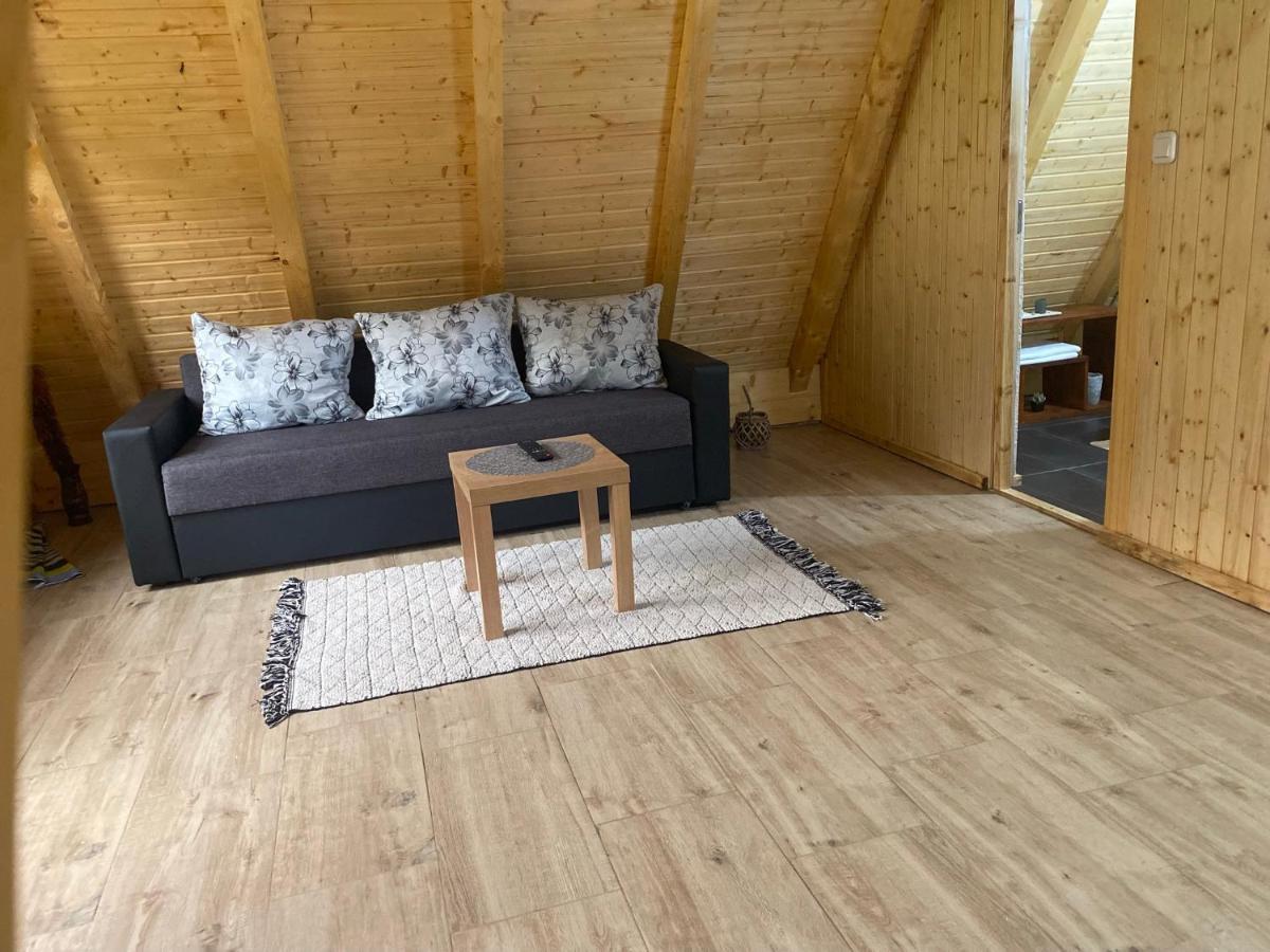 Cabanutze Satic Villa Rucăr Kültér fotó