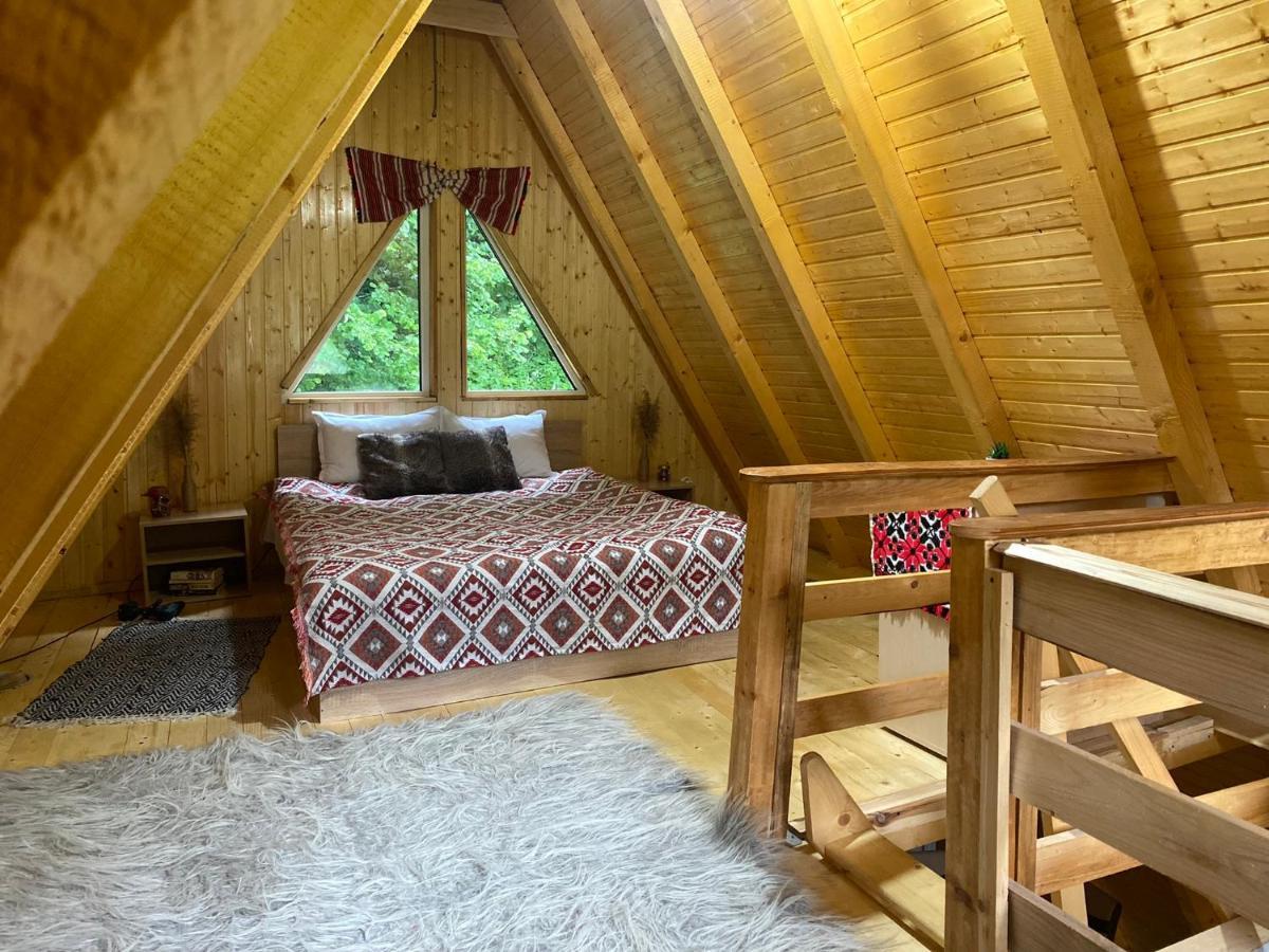 Cabanutze Satic Villa Rucăr Kültér fotó