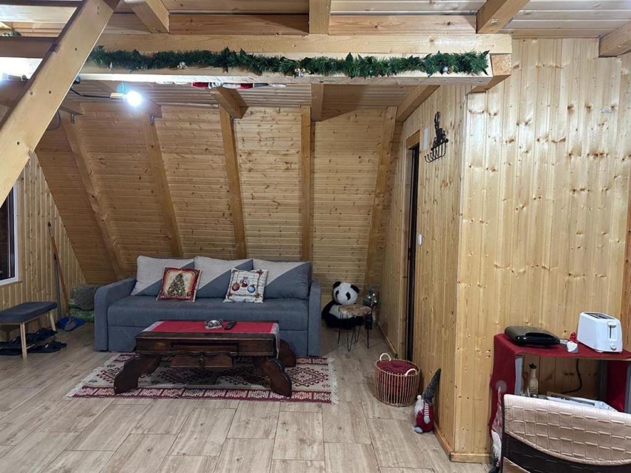 Cabanutze Satic Villa Rucăr Kültér fotó