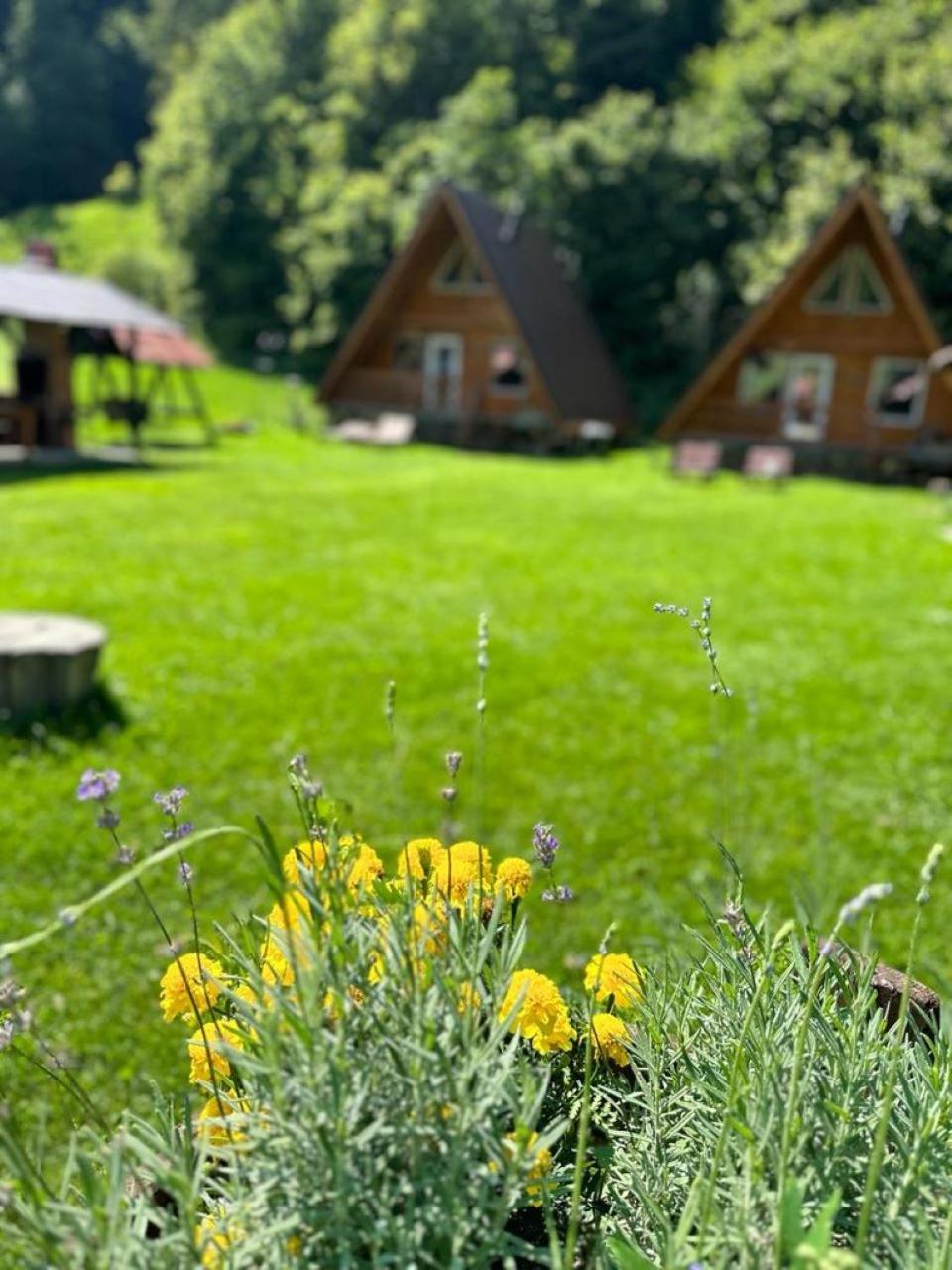 Cabanutze Satic Villa Rucăr Kültér fotó