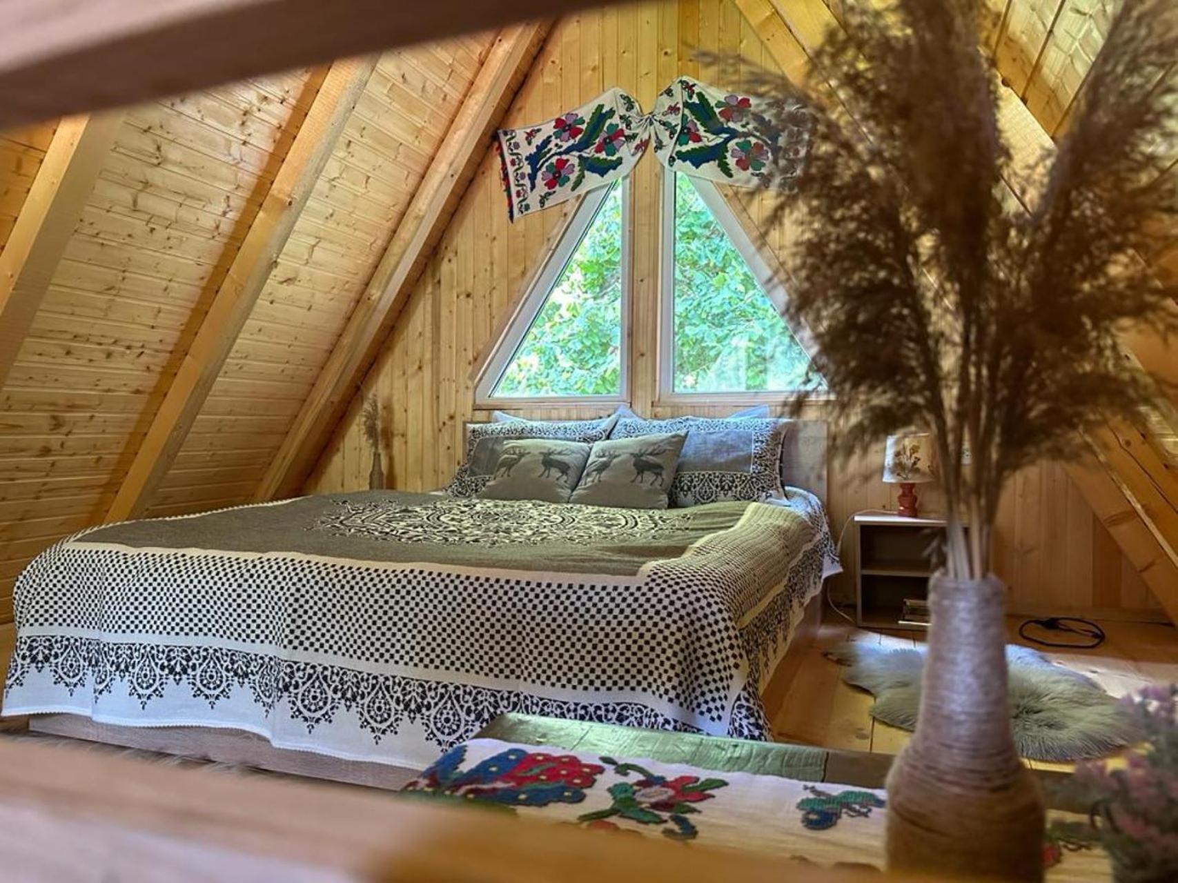Cabanutze Satic Villa Rucăr Kültér fotó