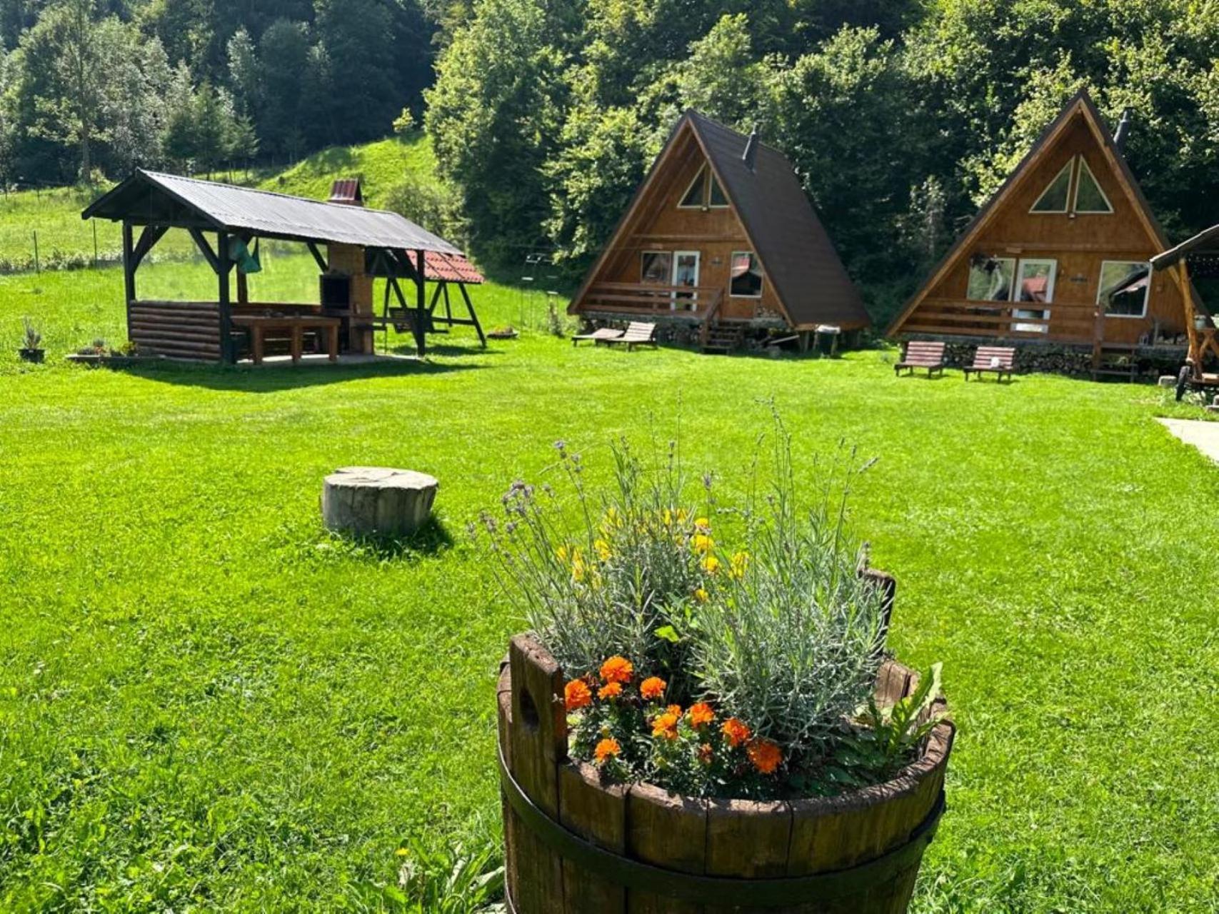 Cabanutze Satic Villa Rucăr Kültér fotó