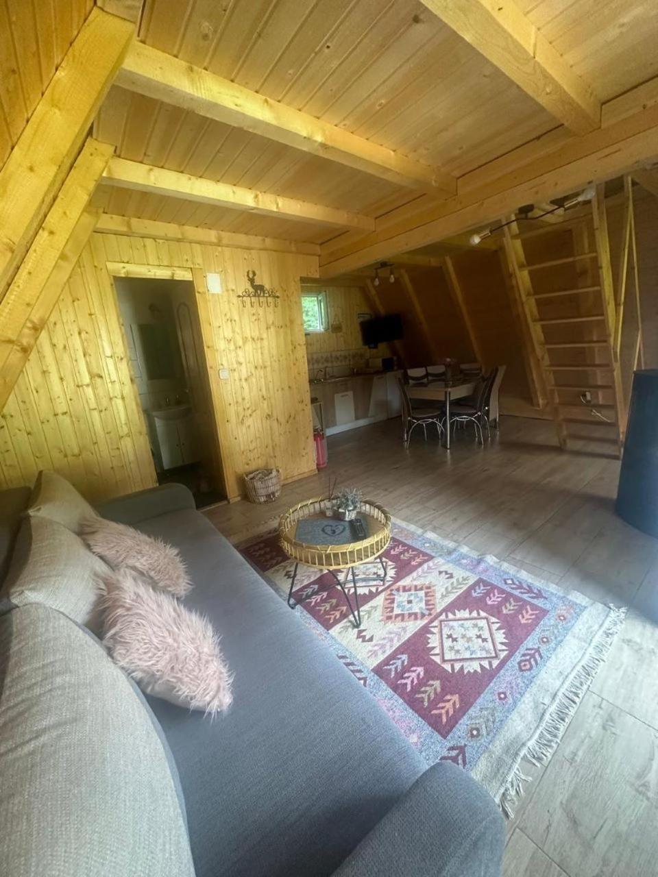 Cabanutze Satic Villa Rucăr Kültér fotó