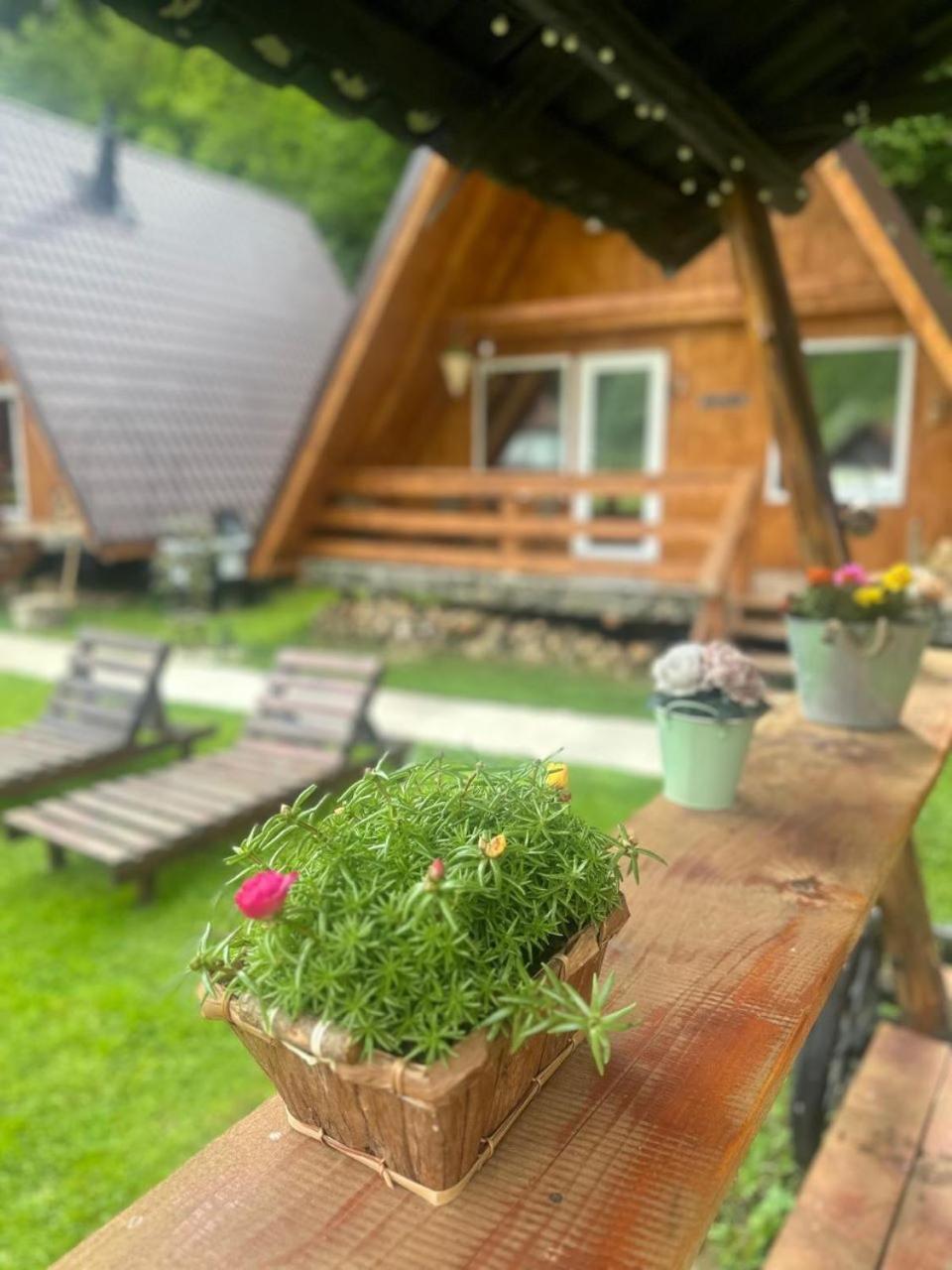 Cabanutze Satic Villa Rucăr Kültér fotó