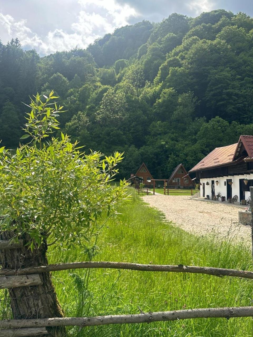 Cabanutze Satic Villa Rucăr Kültér fotó