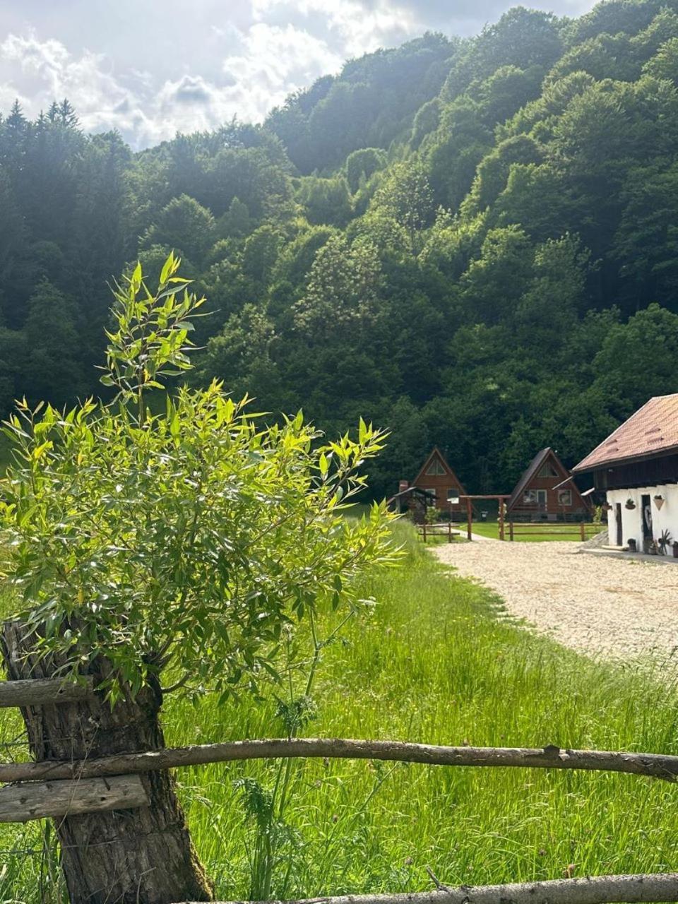 Cabanutze Satic Villa Rucăr Kültér fotó