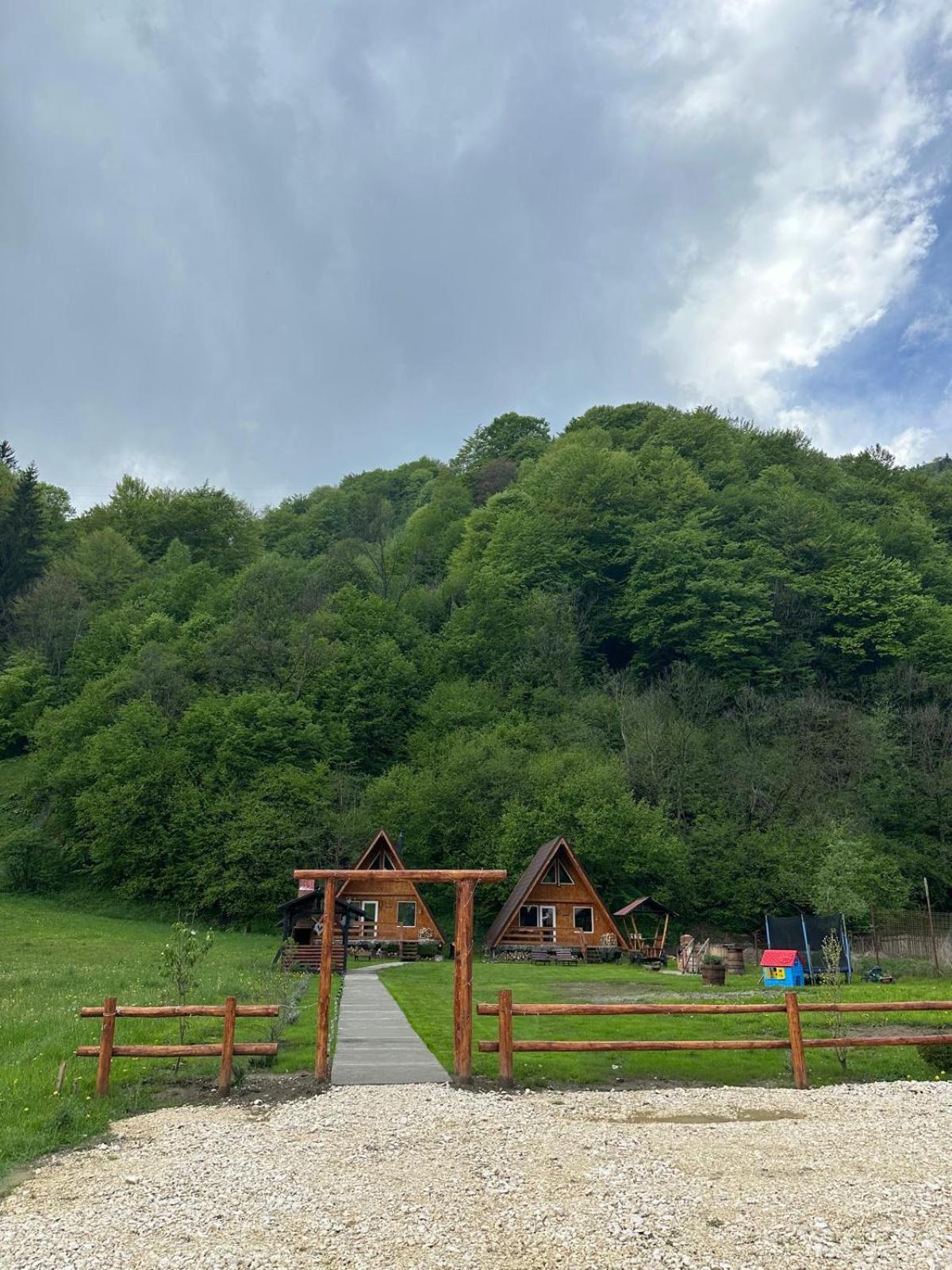 Cabanutze Satic Villa Rucăr Kültér fotó