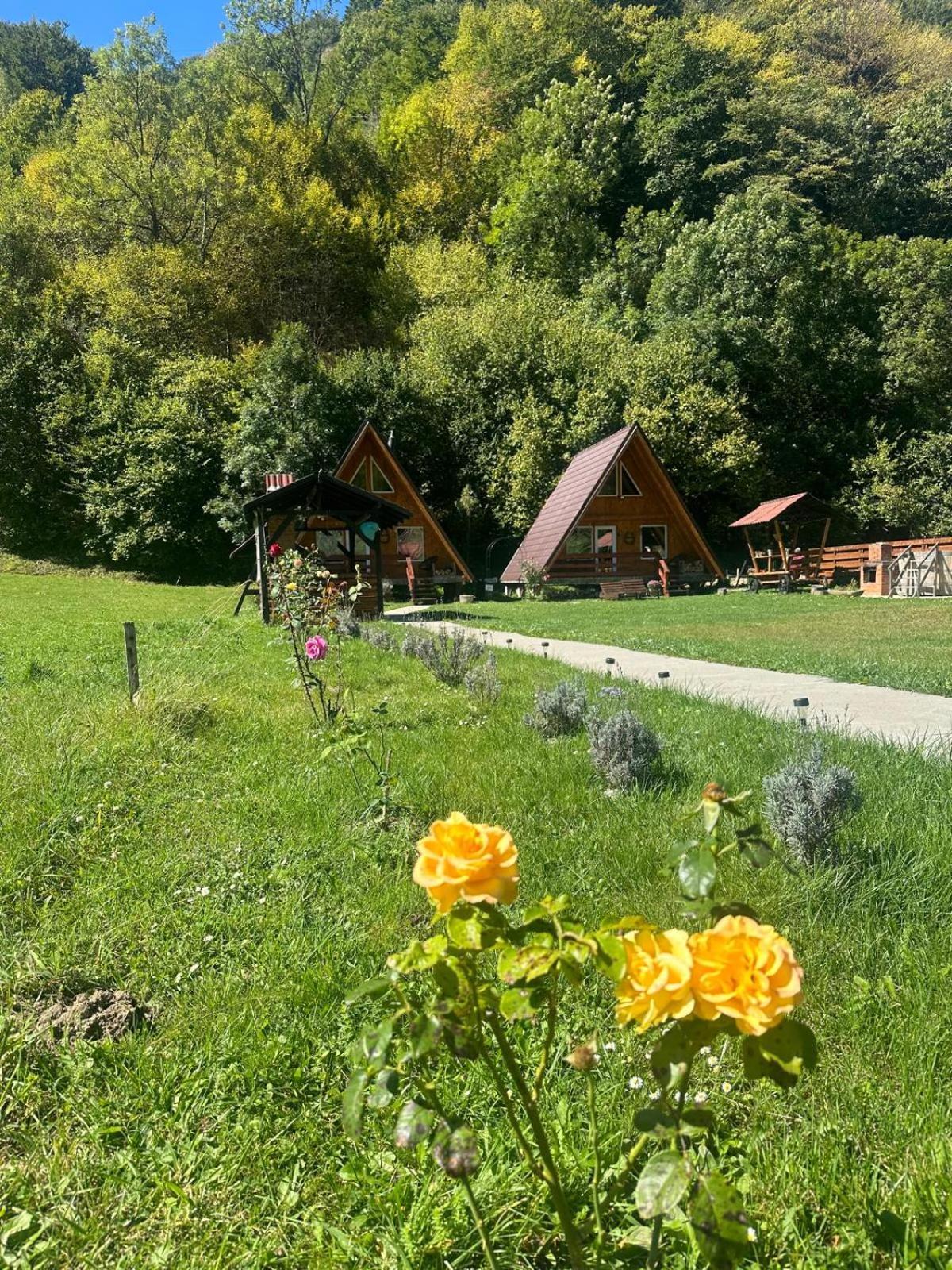 Cabanutze Satic Villa Rucăr Kültér fotó